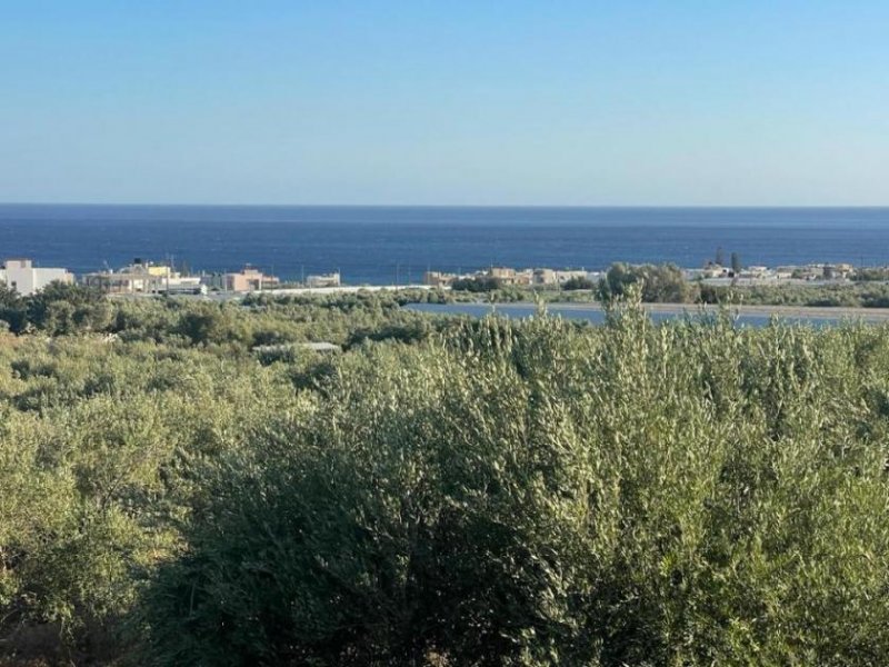 Koutsouras Kreta, Koutsouras: Tolles Baugrundstück in Meeresnähe zu verkaufen Grundstück kaufen